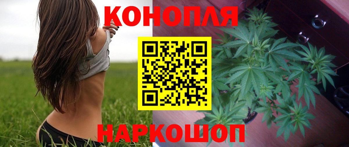 Канабис конопля  Канабис SATIVA & INDICA  Вход с VPN  Ярославль 